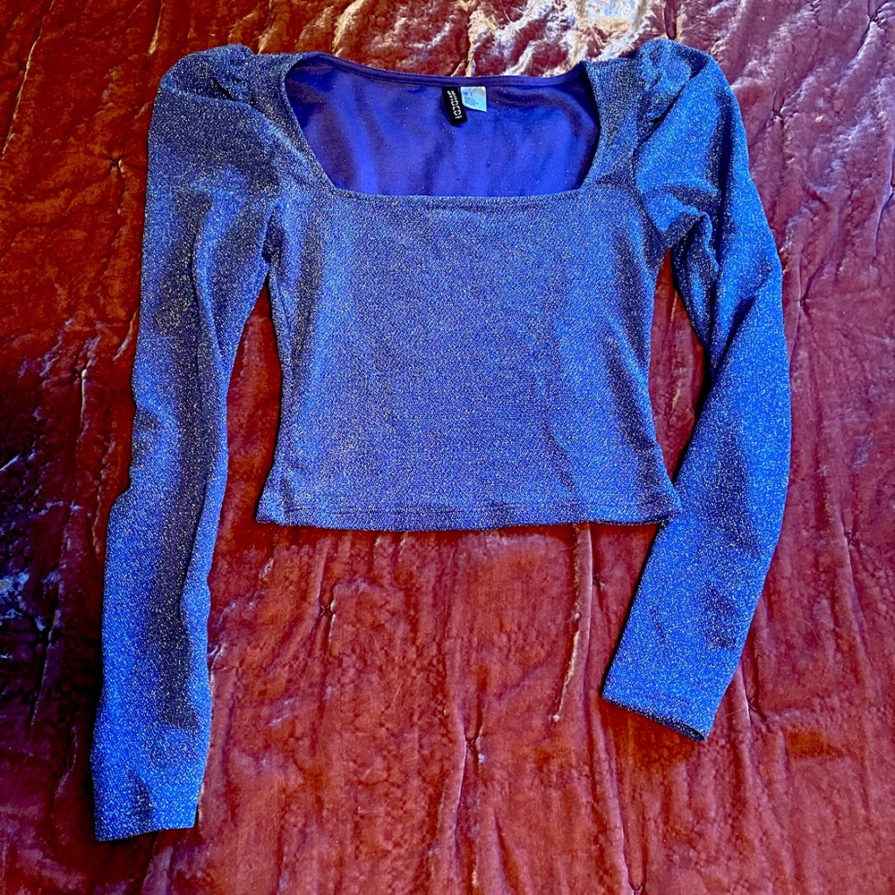 Sparkly purple and silver crop top